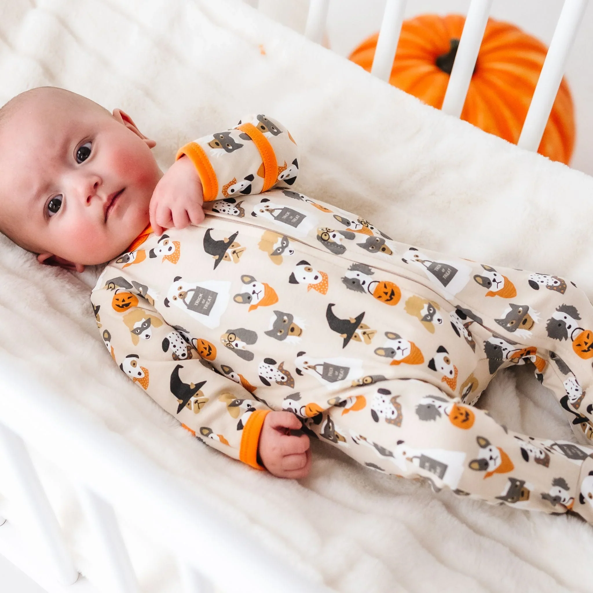 Halloween Hounds Driftwood Zipper Playsuit - Image 3